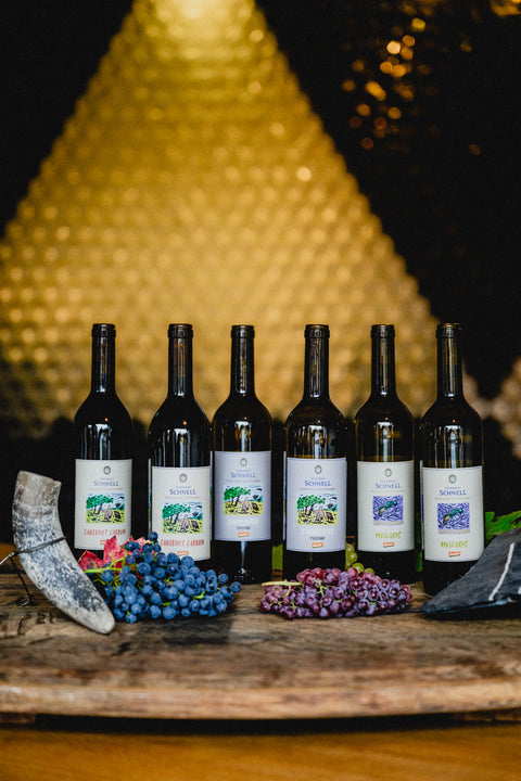 Zukunftswein-Paket
