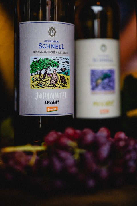 Die Rebhühner Familie