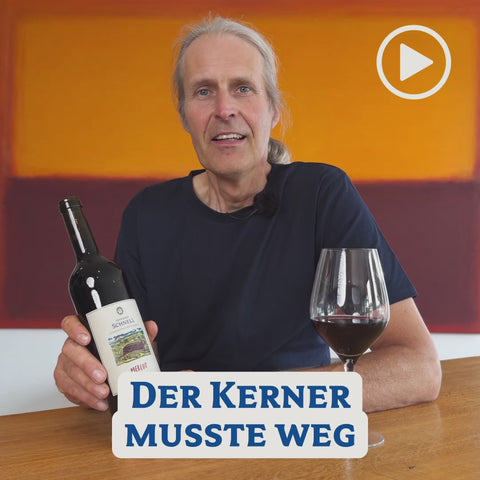 2022 Guntersblumer Merlot " Halbstück"