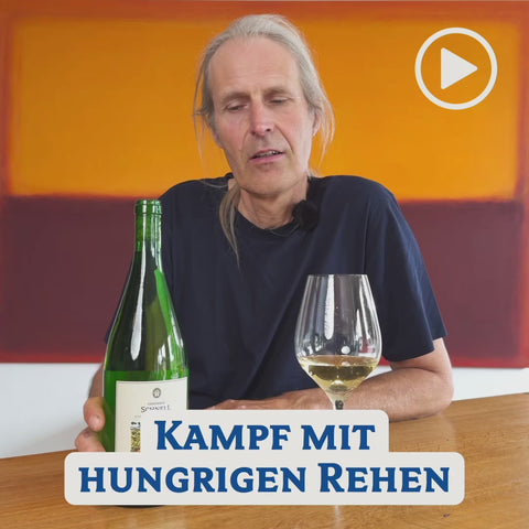 2022 Guntersblum Riesling QbA dry