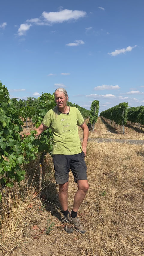 2025 Muscaris Zukunftswein Landwein