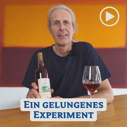 2022 Guntersblumer St.Laurent Rosé